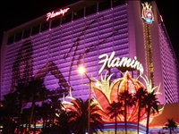 flamingo casinò